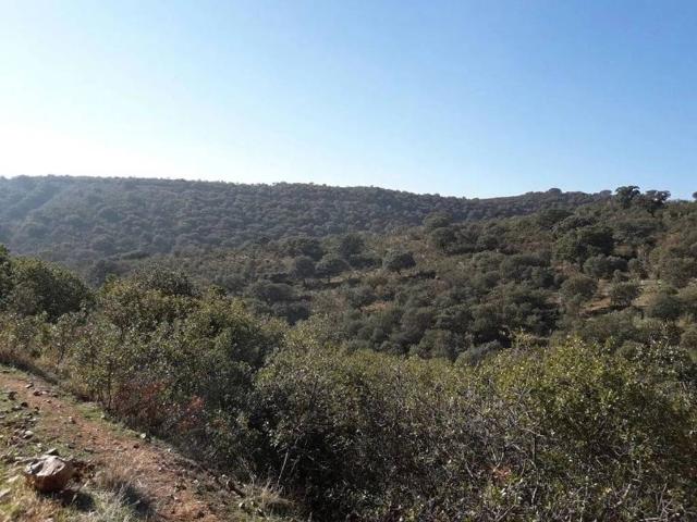 Casa Rural en venta en Talavera La Nueva, Talavera De La Reina