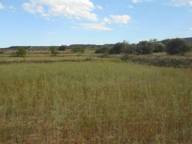 Casa Rural en venta en Tarazona y el Moncayo, Aragón