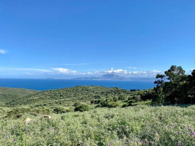 Casa Rural en venta en Campo de Gibraltar, Andalucía