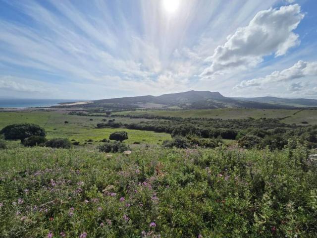 Terreno en venta en Campo de Gibraltar, Andalucía
