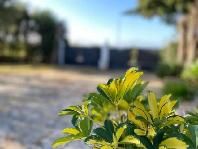Casa Rural en venta en Campo de Gibraltar, Andalucía