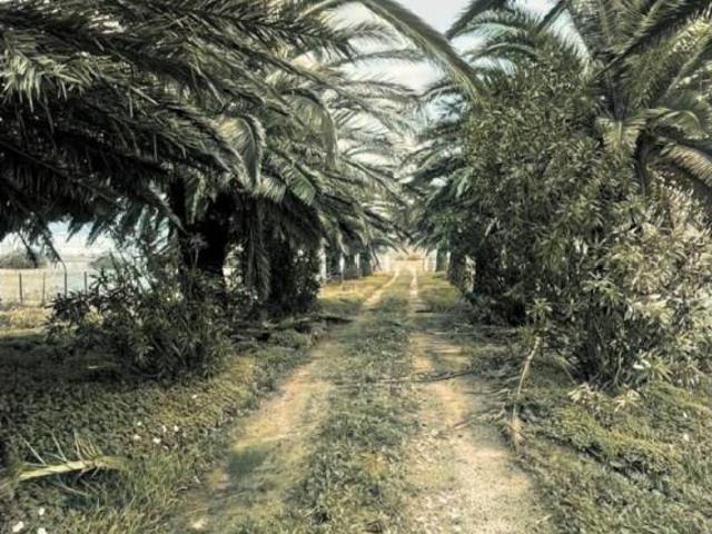 Casa Rural en venta en Campo de Gibraltar, Andalucía