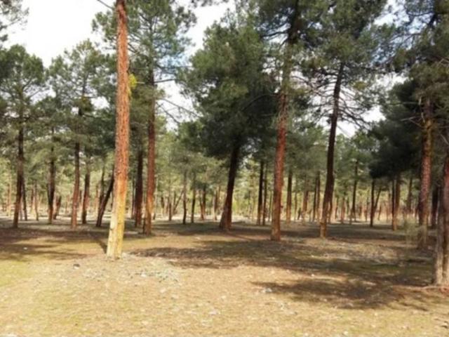 Terreno en venta en Tiñosillos