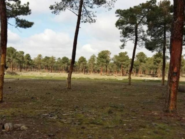 Terreno en venta en Tiñosillos, Castilla y León