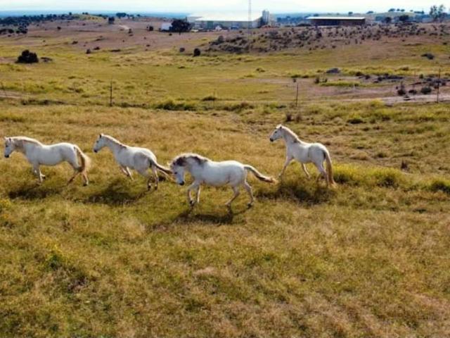 Casa Rural en venta en Toledo, Castilla-La Mancha