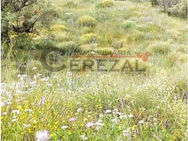 Casa Rural en venta en La Axarquía, Andalucía