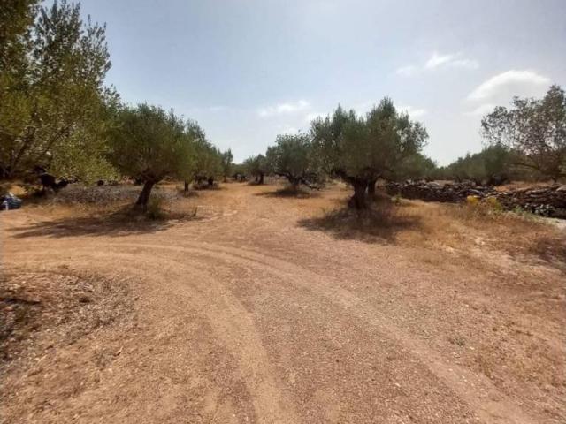 Casa Rural en venta en Baix Ebre, Catalunya
