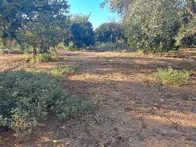 Casa Rural en venta en Utrera, Andalucía