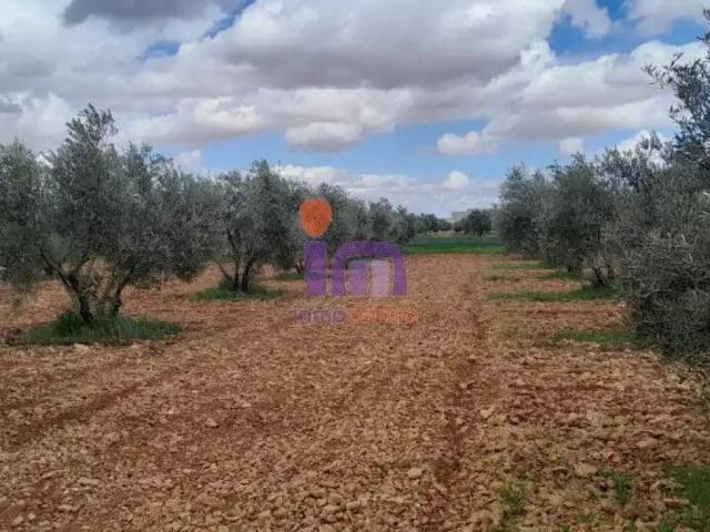 Casa Rural en venta en Valdepeñas, Castilla-La Mancha