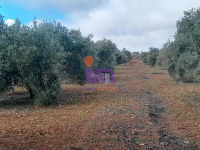 Casa Rural en venta en Valdepeñas, Castilla-La Mancha