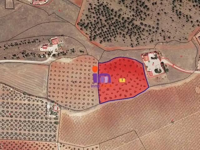Casa Rural en venta en Valdepeñas, Castilla-La Mancha