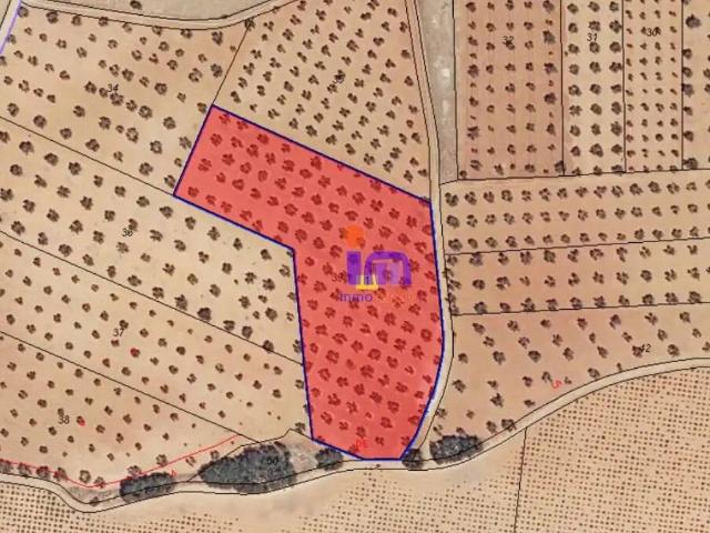 Casa Rural en venta en Valdepeñas, Castilla-La Mancha