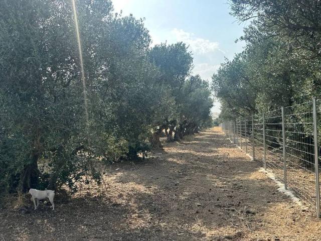 Casa Rural en venta en Valdetorres De Jarama