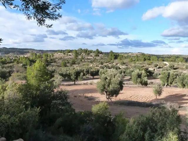Casa Rural en venta en Matarraña / Matarranya, Valjunquera