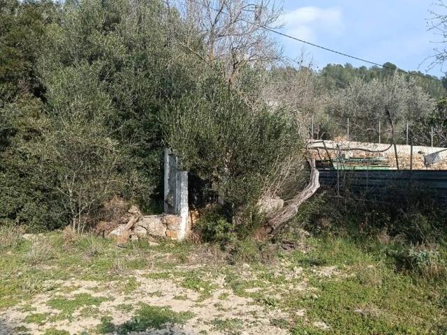Casa Rural en venta en la Plana Alta, Valencia