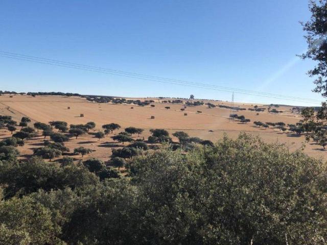 Casa Rural en venta en Llanos de Olivenza, Extremadura