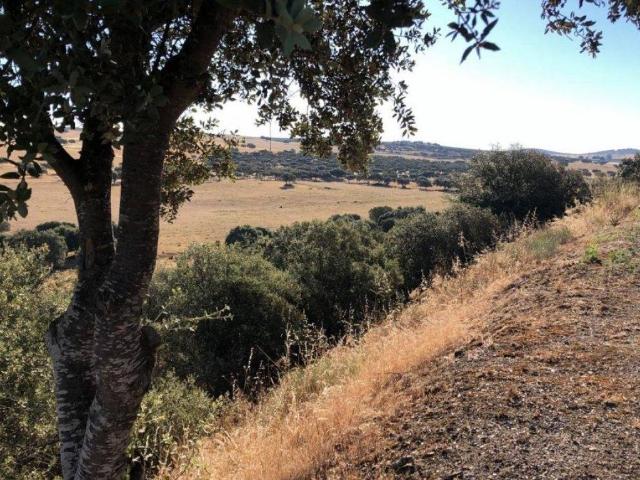 Casa Rural en venta en Llanos de Olivenza, Extremadura