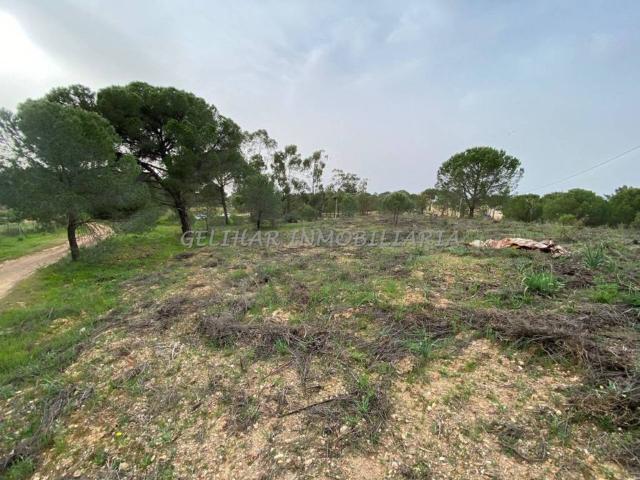 Terreno en venta en Valverde Del Camino
