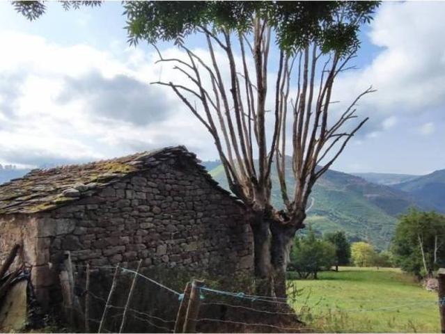 Casa Rural en venta en Vega De Pas, Cantabria
