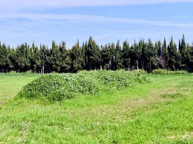 Casa Rural en venta en Belicena, Comarca de la Vega de Granada