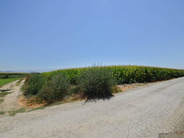 Casa Rural en venta en Comarca de la Vega de Granada, Andalucía