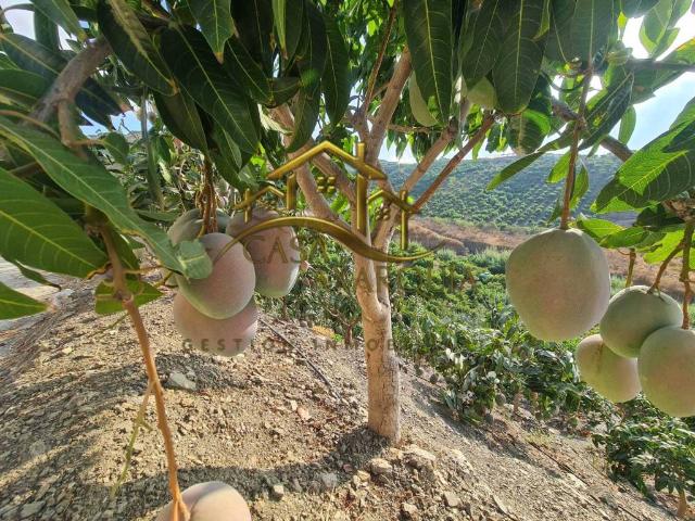 Casa Rural en venta en Vélez-málaga, Málaga