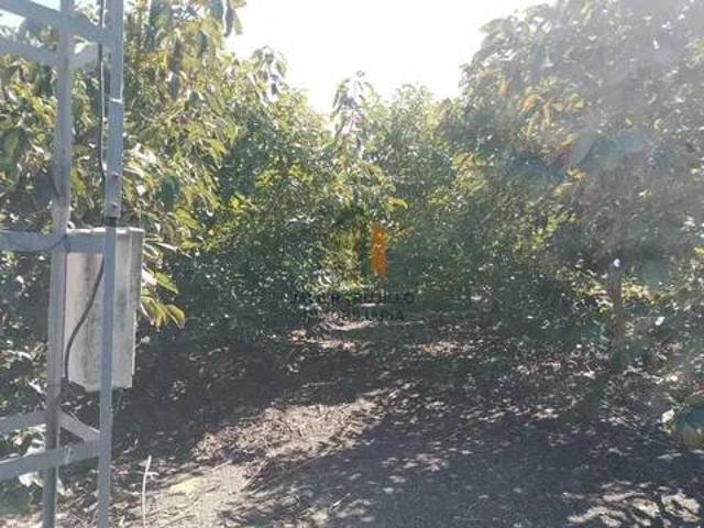 Casa Rural en venta en Almayate Bajo, La Axarquía