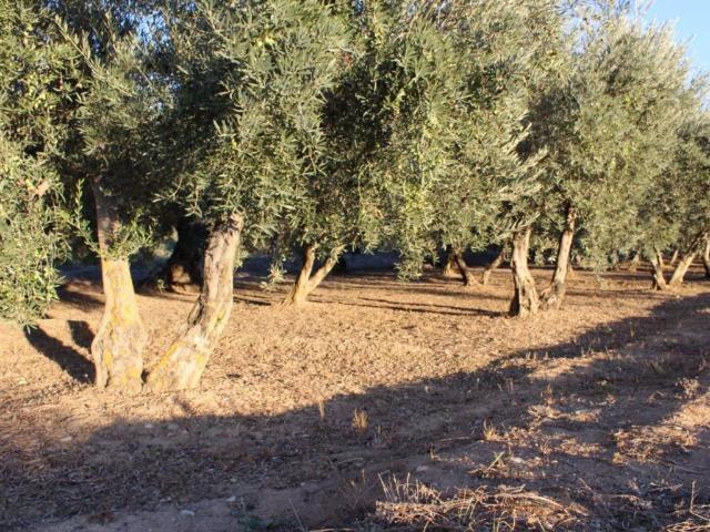 Casa Rural en venta en Granada
