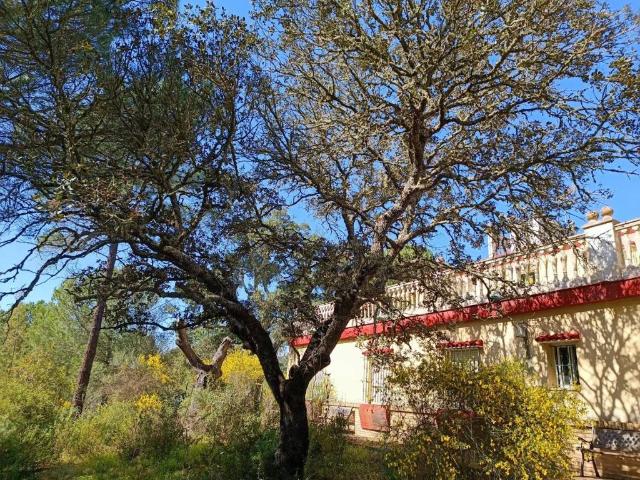 Casa Rural en venta en Costa Occidental, Andalucía