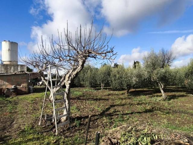 Casa Rural en venta en Sierra de Cádiz, Andalucía