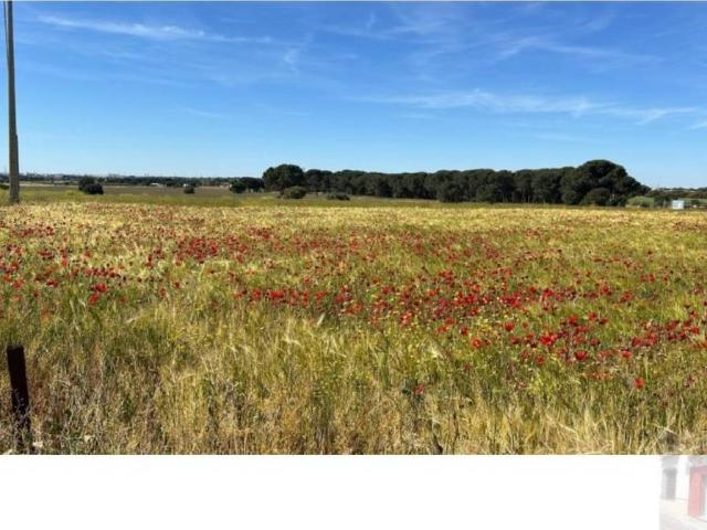 Casa Rural en venta en Villarrobledo, Castilla-La Mancha