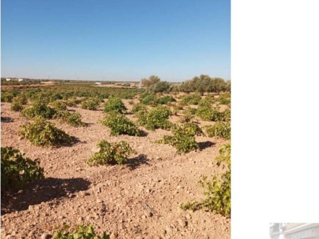 Casa Rural en venta en Villarrobledo, Castilla-La Mancha