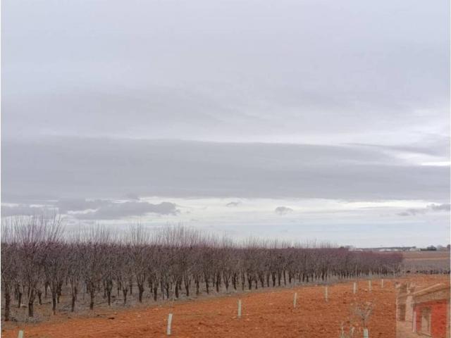 Casa Rural en venta en Villarrobledo, Castilla-La Mancha