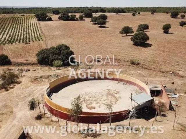 Casa Rural en venta en Villaviciosa De Odón, Madrid