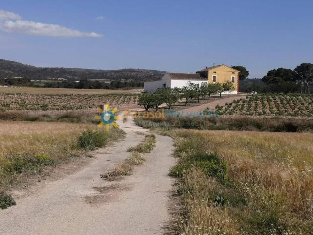 Casa Rural en venta en La Encina, Villena