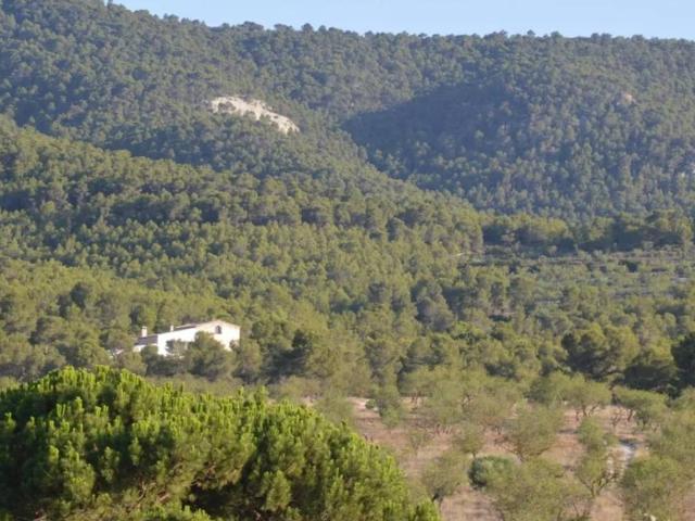Casa Rural en venta en Villena