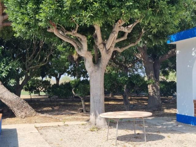 Casa Rural en venta en el Baix Maestrat, Valencia