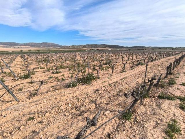 Casa Rural en venta en Altiplano, Murcia