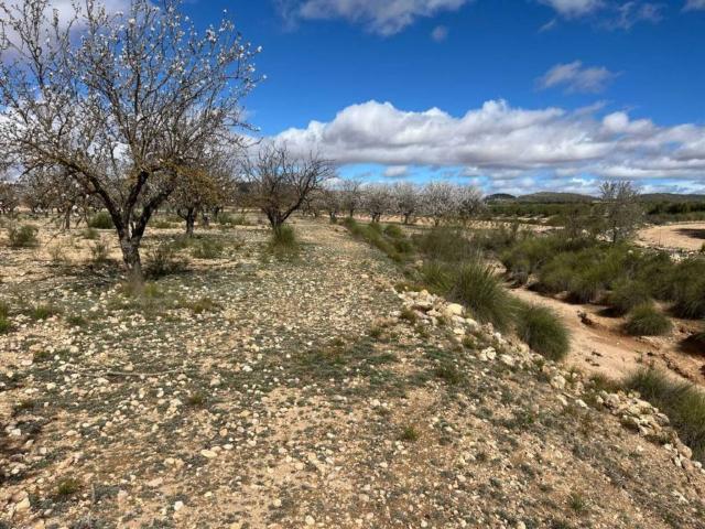 Casa Rural en venta en Altiplano, Murcia
