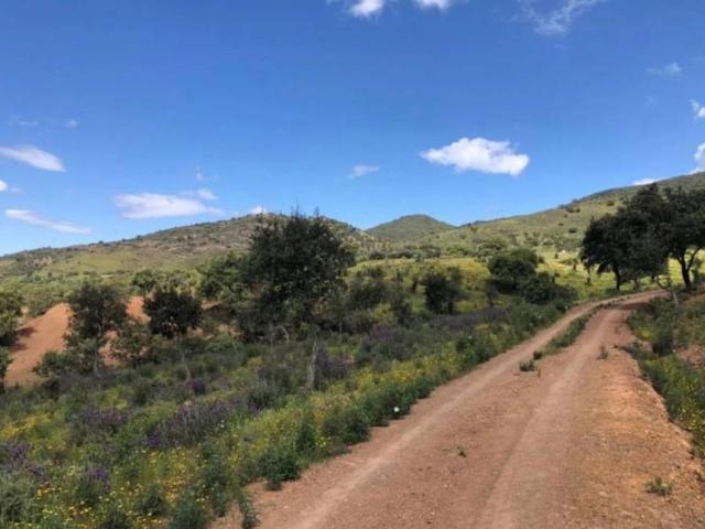 Casa Rural en venta en Zufre