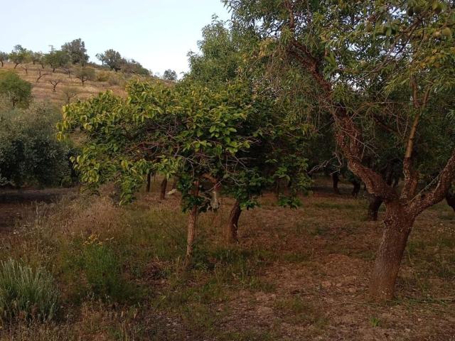 Casa Rural en venta en Comarca de la Alpujarra Granadina, Andalucía