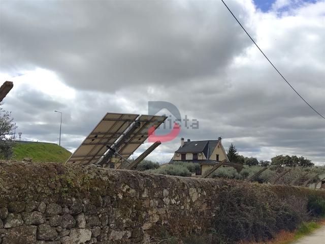 Quinta venda em Castelo Branco