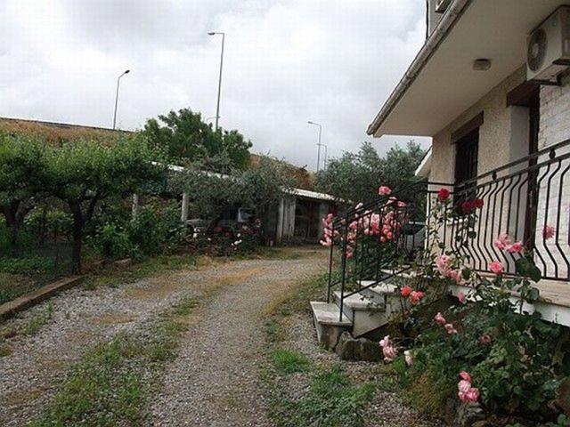 Quinta venda em Castelo Branco