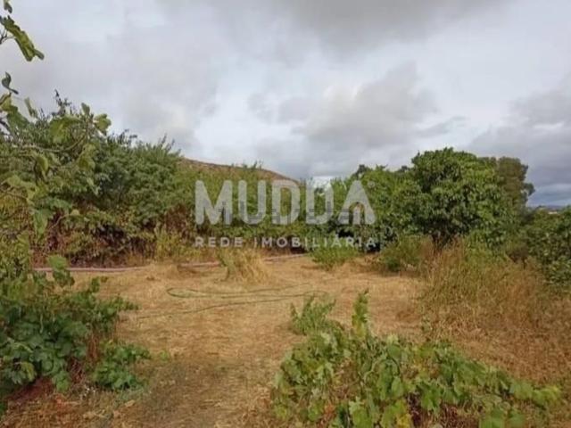 Quinta venda em Castelo Branco