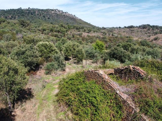 Quinta venda em Castelo Branco