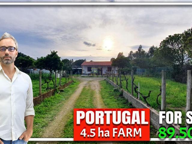 Quinta venda em Castelo Branco