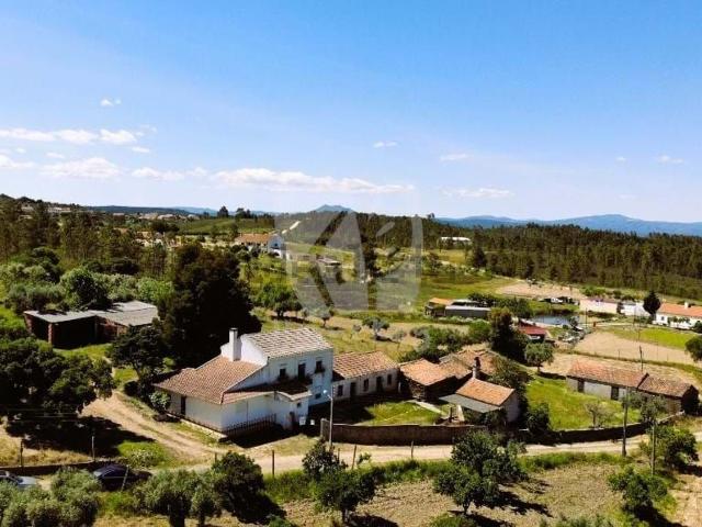 Quinta venda em Castelo Branco
