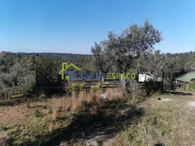 Quinta venda em Castelo Branco