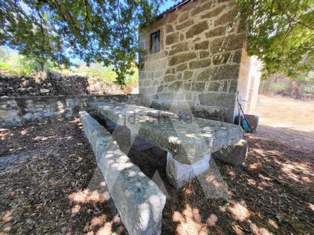 Quinta venda em Penalva Do Castelo, Viseu