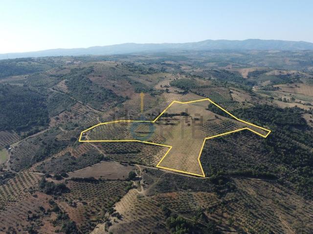 Quinta venda em Mogadouro, Bragança